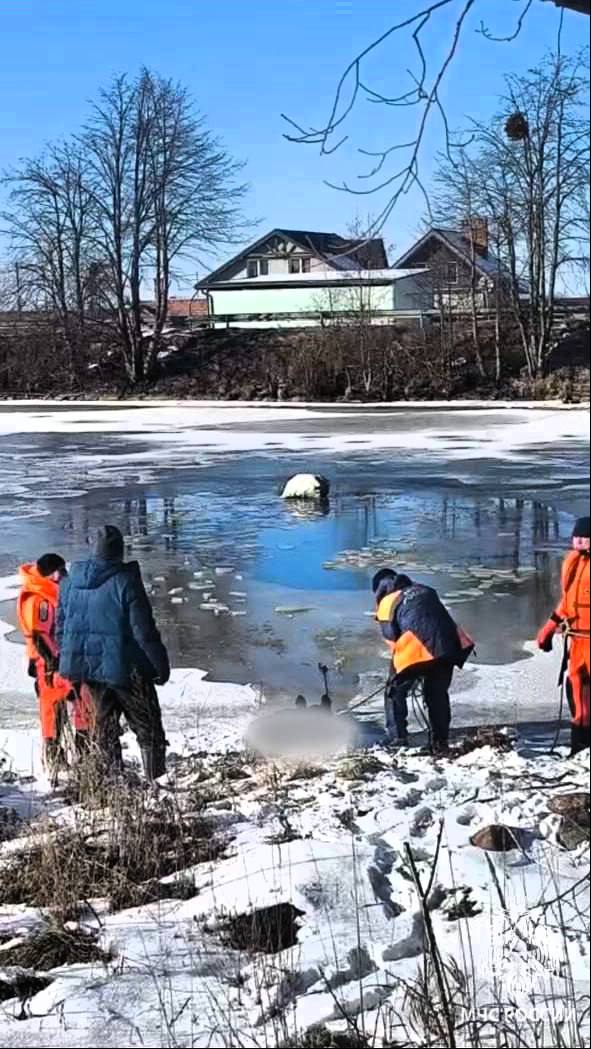 В Калининградской области утонул 51-летний мужчина  В районе поселка Красное мужчина решил сократить путь через Полесский канал и провалился под лед. Сотрудники МЧС России обнаружили его без признаков жизни.  На месте работали 3 специалиста и единица техники МЧС России.   Следуй простым правилам от МЧС России:  не переходи водоем;  не проверяй лед на прочность ударом ноги - используй палку или пешню;  не приближайся к кромке льда, промоинам и трещинам.