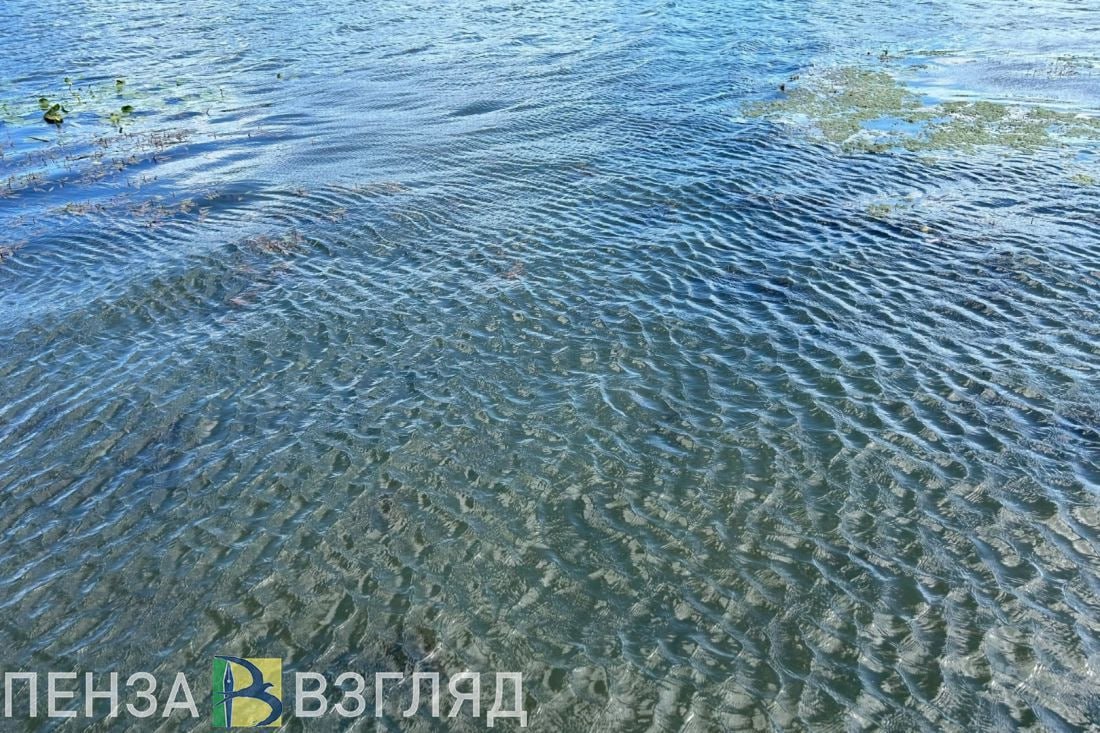 За время купального сезона в Пензенской области утонули 5 взрослых и ребенок В ГУ МЧС по Пензенской области подвели итоги купального сезона Главный государственный инспектор по маломерным судам Пензенской области Сергей Петрунин отметил что статистика этого года более позитивная чем в прошлые Этому способствовало создание благоустроенных пляжей активная профилактика обучение правилам безопасности подрастающего поколения По данным пресс службы регионального ГУ МЧС на водоемах региона в период купального сезона утонули шесть человек в том числе один ребенок Все случаю произошли в несанкционированных для купания местах Подписаться на Пенза Взгляд