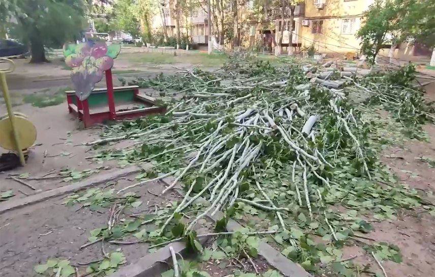 Ужасно и страшно то, что в этом дворе по ул. Куликова, 73/1 по-прежнему возвышаются опасные тополя. Все заявления и жалобы, написанные после трагедии, проигнорированы до сих пор!  Сегодня в СК сообщили, что директор управляющей компании ООО «УК Индиго 1» приговорен к 2,5 годам лишения свободы за халатность, повлекшую гибель ребенка во дворе пятиэтажки по ул. Куликова, 73/1 в Астрахани.  Директор УК знал об аварийных деревьях во дворе, но не организовал их обрезку и вырубку.    30 апреля 2024 года в результате сильного порыва ветра одно из деревьев рухнуло на детскую площадку. Пострадали двое детей: 7-летняя девочка скончалась в больнице, ещё один ребенок получил травмы.