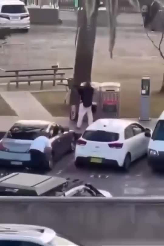 Ахмед Аль Ахмед: владелец фруктовой лавки, рискнувший жизнью, обезвредил террориста в Сиднее