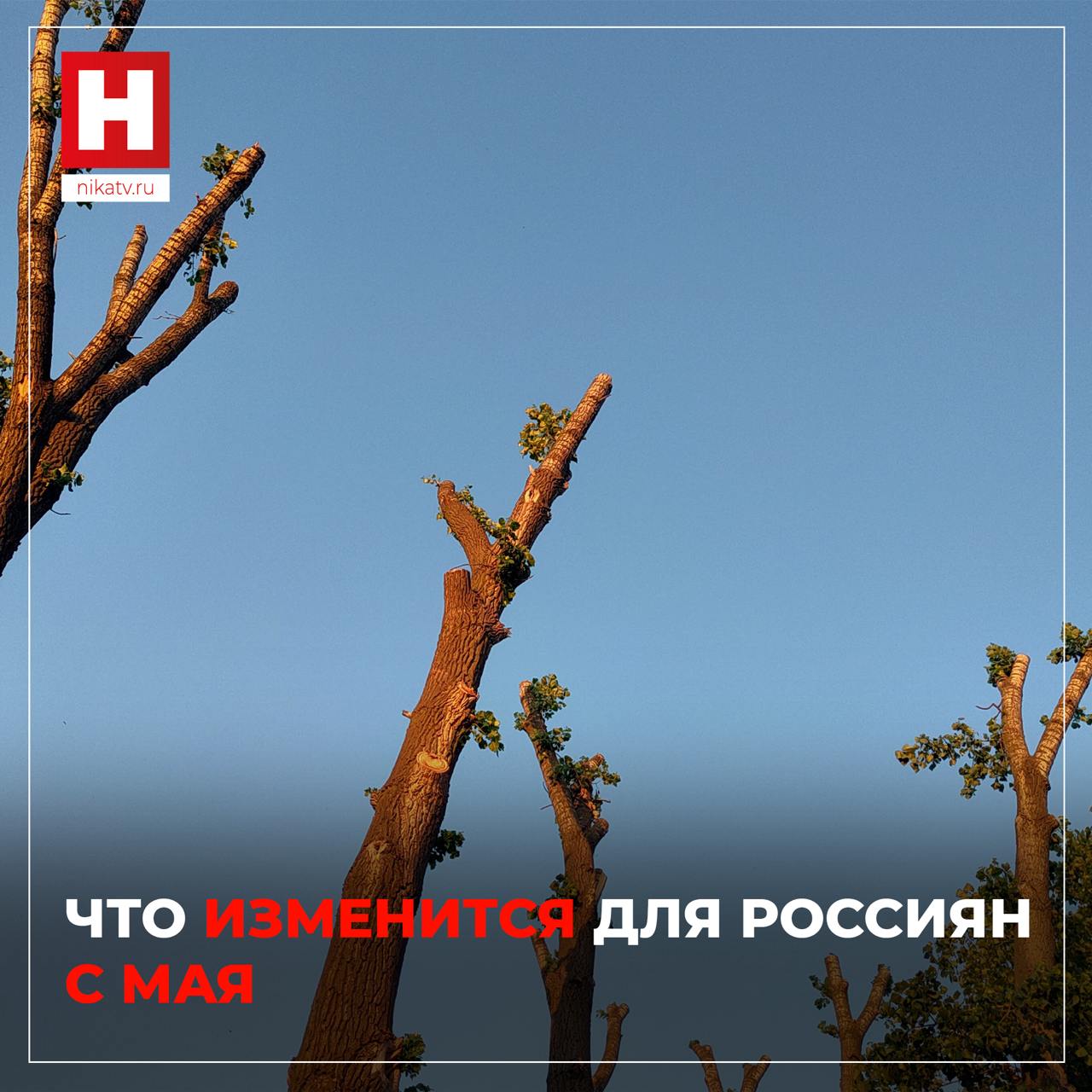 Что изменится для россиян с мая   С 1 числа фиксированная часть пенсии увеличится для тех, кто отметил свой 80-летний юбилей, а для тех, кто в апреле получил I группу инвалидности. Размер выплаты будет составлять 17816 рублей.   30 мая вступает в силу закон, регулирующий вопросы утечки персональных данных. Он вводит уголовную ответственность за незаконные использование, передачу, сбор и хранение персональных данных граждан — до 10 лет лишения свободы.   С 24 числа в России запустят открытый реестр должников по алиментам.    С 1 мая блогеры станут профессией: соответствующие коды появятся в ОКВЭД, что приравняет их деятельность к трудовой.   Зарубежные машины станут еще дороже: будет действовать единый стандарт растаможки, из-за которого увеличатся таможенные пошлины и утильсбор. Выгодная схема ввоза авто через страны ЕАЭС будет отменена.    Снеки и пивоваренная продукция будут маркироваться: коды системы «Честный знак» будут в обязательном порядке размещать на упаковке этих товаров.     Прислать новость     Заказать рекламу