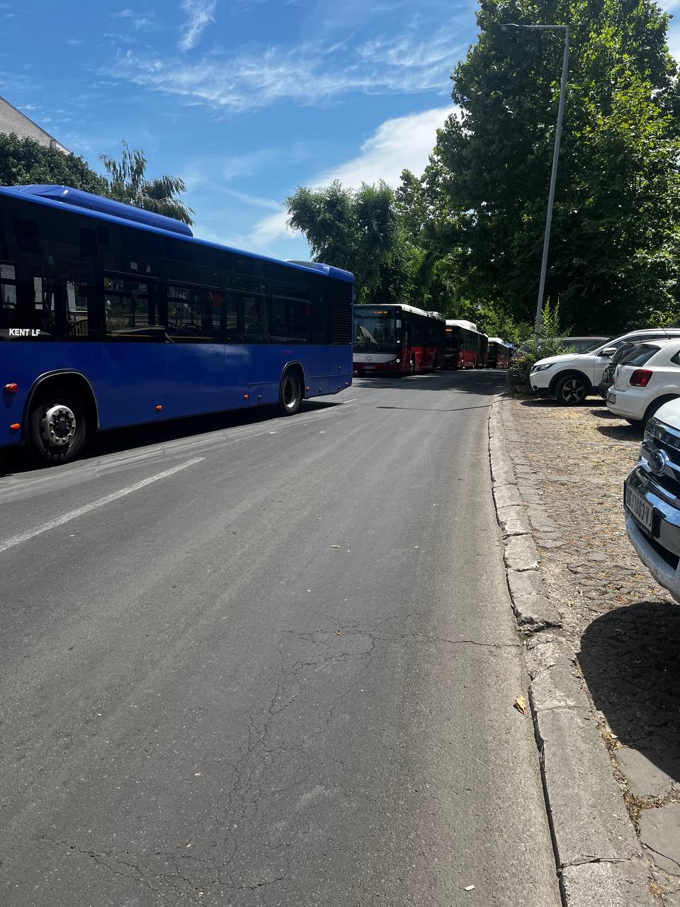 #НовостиОтПодписчиков #транспорт #Белград  В Мириево около ОШ "Павле Савич" автобус протаранил Шкоду Фабию, вследствие чего образовалась большая пробка из автобусов, скорее всего автобусное сообщение будет нарушено.  За новость и фото спасибо    Если у вас есть информация / фото из любой точки Сербии — присылайте, давайте делать Новости Сербии вместе.