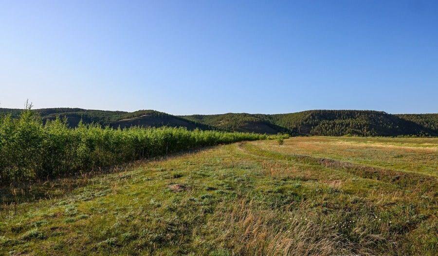МИЗО Якутии разъяснило порядок предоставления земли участникам СВО   Как получить бесплатный земельный участок участникам специальной военной операции и их семьям разъяснил министр имущественных и земельных отношений Якутии Павел Багынанов в эфире радио Тэтим     ulus media 2025 10 31 mizo yakutii razyasnilo poryadok predostavleniya zemli uchastnikam svo ulusmedia Читайте нас в MAX