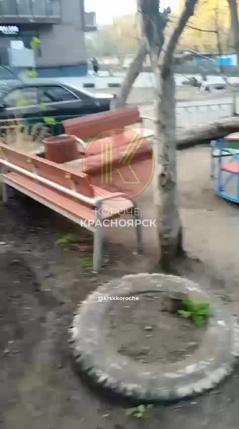В Красноярске дерево упало на детскую площадку, жильцы ждут уборки