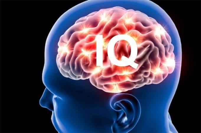 Чем позже просыпается человек тем выше его IQ Чем позже просыпается человек тем выше его IQ показало масштабное исследование Имперского колледжа Лондона В тесте приняли участие более 26 тысяч человек Все совы решили все логические задачи на 13 5 лучше жаворонков Кроме того те кто поздно встаёт быстрее сосредотачиваются и эффективнее обрабатывают информацию При прочих равных совы всегда будут добиваться лучших результатов но современное общество поощряет жаворонков Офисы работают с раннего утра из за чего люди страдают хроническим недосыпом а реальные достижения сов снижаются bisrub