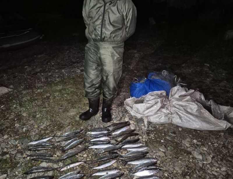В Бурятии незадачливый рыбак попал в руки ФСБ  В Бурятии сотрудники Северобайкальского ЛО МВД России на транспорте совместно с коллегами из ФСБ в ходе рейда задержали 53-летнего жителя Нижнеангарска. Мужчина незаконно ловил омуль на Байкале. Браконьер на моторной лодке установил четыре рыболовные сети и успел наловить рыбы на 203 тысячи рублей. #Бурятия  Номер один