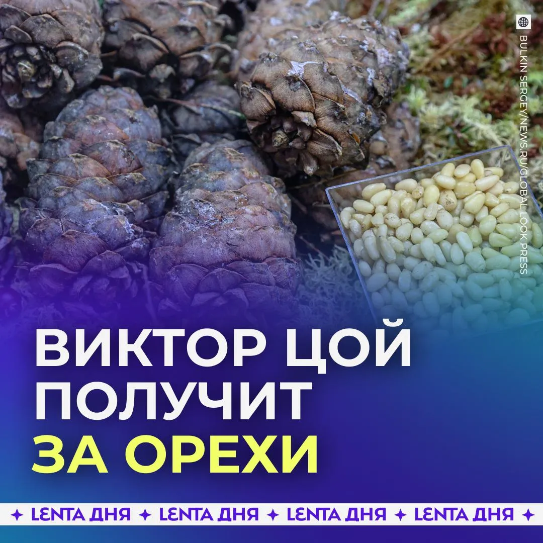 Виктор Цой провернул криминальную схему с орехами По данным следствия приморский чиновник получил от иностранца 7 5 миллиона рублей за экспорт кедровых орехов Но вместо продажи продукции и подготовки документов он лишь изображал бурную деятельность а деньги растратил Теперь ему грозит срок за мошенничество Получил на орехи за орехи Подпишись на Ленту дня в MAX Участвуй в розыгрыше
