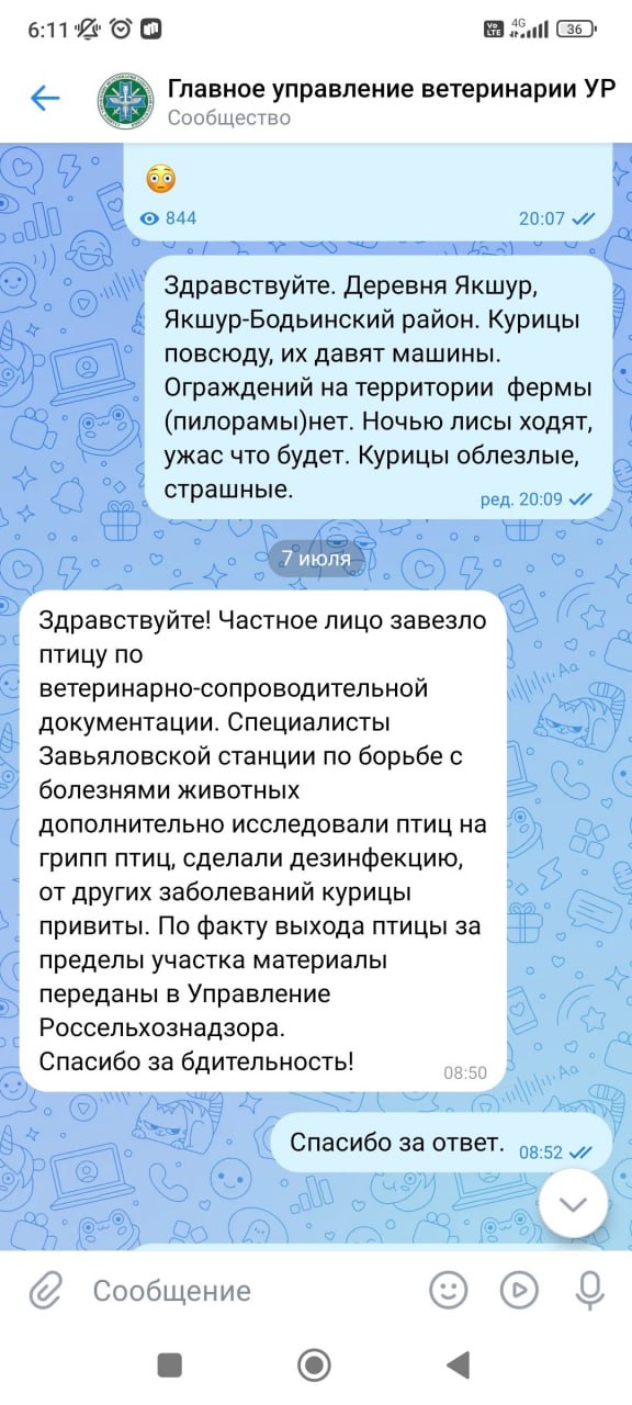 "Просим принять меры, так как у куриц нет при себе документов и население не знает, здоровы они или нет" В деревню Якшур-Бодьинском района Удмуртии неизвестные привезли и бросили несколько тысяч живых куриц. Птицу выгрузили на территории фермы, но, по словам местных жителей, там нет ограждений. Ситуация — кошмар. Повсюду трупы куриц. И в поле, а там мы ягоды собирали. На территории фермы тоже ужас, труп на трупе. Курицы по всей деревне уже. Сторож сказал, фура выгрузила три тысячи куриц и уехала. Кто, кому, откуда — неизвестно. Просим принять меры, так как у куриц нет при себе документов и население не знает, здоровы они или нет. Вонь от трупов стоит невыносимая , — пишут в соцсетях жители деревни. Позже появилась информация, что хозяина "куриного апокалипсиса" нашли. И по словам районных властей он обязался вывезти пернатых на ферму в Татарстан. Сейчас ситуация под контролем, противоправных действий не допущено, - заверили власти.