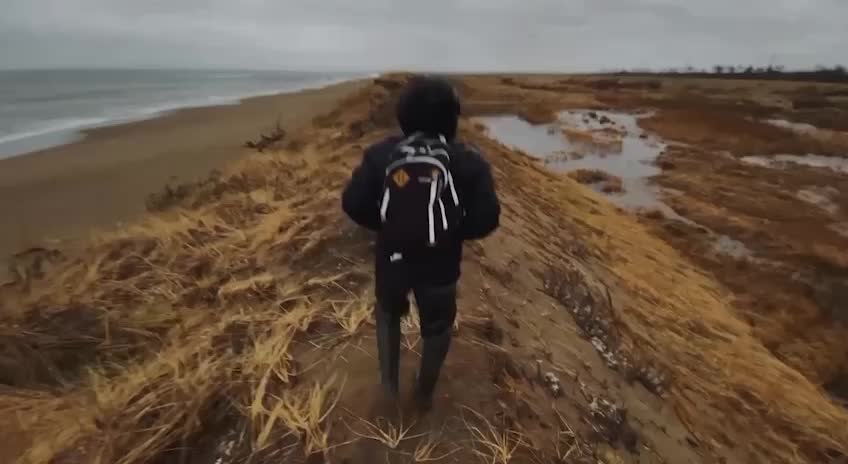 На Сахалине найден мертвый серый кит длиной 11 метров