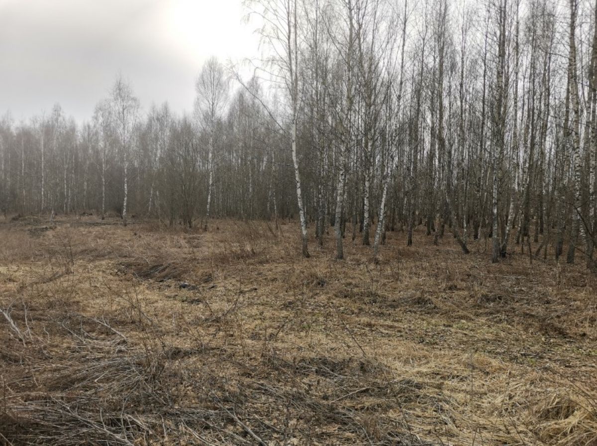 Суд обязал подмосковную компанию привести в порядок заброшенные поля в Орловской области     Подмосковной компани придется по решению суда привести в порядок поля в Орловской области. Об этом сообщили в пресс-службе ТУ Россельхознадзора по Орловской и Курской областям.  ↗  Прислать новость   Подписаться