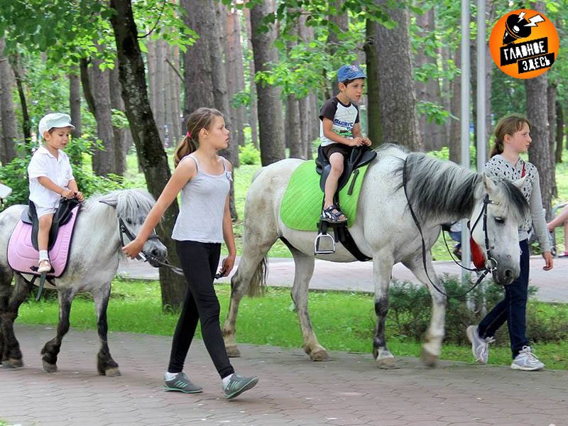 Использовать лошадей в развлекательных целях предложили запретить С такой инициативой выступила гендиректор Московского зоопарка Светлана Акулова. Моя позиция однозначна: необходимо ввести полный запрет на эксплуатацию лошадей в коммерческих целях на улицах Москвы. Это касается фотосессий, прогулок, перформансов и любых других мероприятий, проводимых в парках, пешеходных зонах и других общественных пространствах <…>. Необходимо создать действенные механизмы контроля и реальные последствия для нарушителей, — написала Акулова в соцсетях. Инициатива предполагает штраф в размере от 100 тысяч рублей и конфискацию животного у владельца. Главное — здесь. Подписывайтесь!
