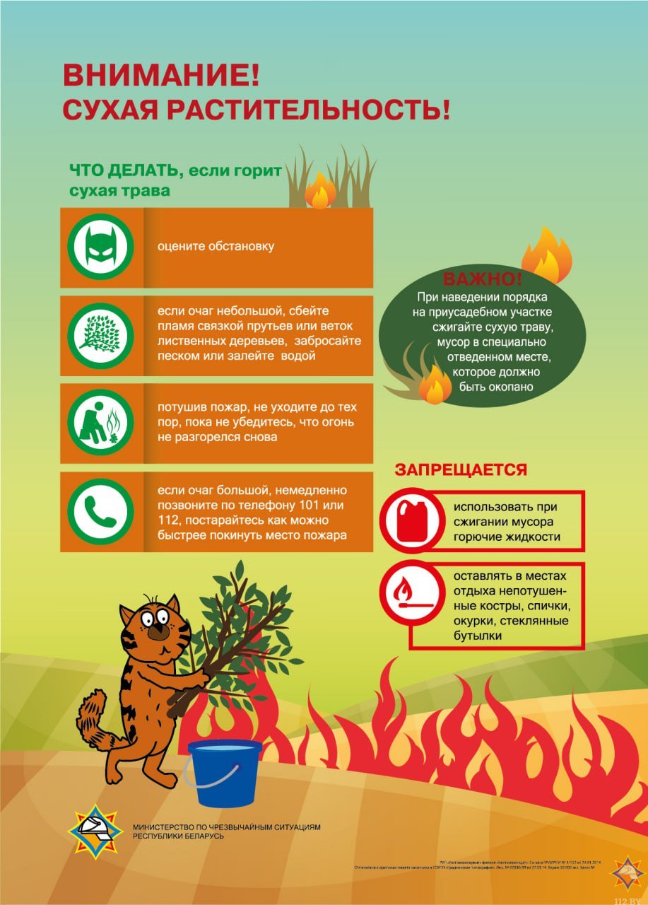Предупреждение МЧС: Выжигание сухой растительности опасно!  С начала 2025 года в Могилевской области произошло 72 пожара сухой растительности, 13 лесных пожаров и 2 торфяных. Один человек пострадал при тушении. В 2024 году зафиксировано 443 пожара сухой растительности и 66 лесных, что привело к двум погибшим и трем пострадавшим.  За незаконное выжигание сухой растительности предусмотрены штрафы от 10 до 30 базовых величин. За разведение костров в запрещенных местах — до 12 базовых величин. Ущерб в особо крупном размере влечет уголовную ответственность.  Безопасная утилизация  При утилизации сухой растительности необходимо:   Обеспечить визуальный контроль за костром.   Очистить место от горючих материалов и использовать негорючие емкости.   Убедиться, что пламя не угрожает зданиям и сооружениям.   Полностью потушить остатки после сжигания.   Запрещено выжигание растительности на корню и разведение костров в опасных местах.    Основные причины возгораний — неосторожное обращение с огнем и выжигание растительности. Часто это приводит к разрушениям и даже жертвам. МЧС напоминает о важности соблюдения правил пожарной безопасности.
