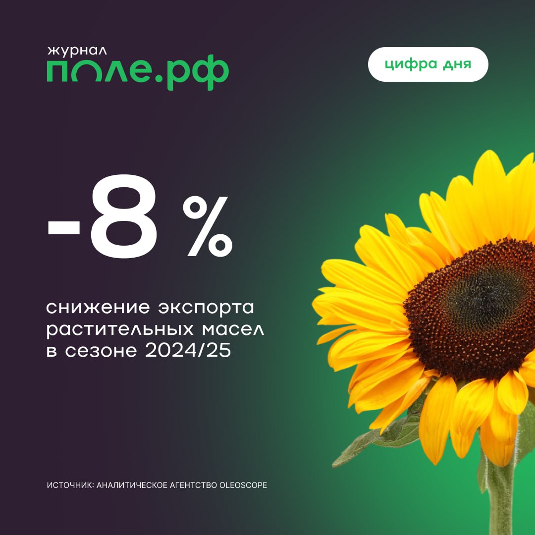Производство и экспорт растительных масел показали снижение по итогам сезона 2024 25 завершившегося 31 августа По данным аналитиков OleoScope выпуск растмасел упал на 7 до 9 5 млн тонн а экспорт на 8 до 6 755 млн тонн Наибольшее сокращение в сегменте подсолнечного масла где объемы выпуска сократились на 11 до 6 94 млн тонн а экспорта также на 11 до 4 717 млн тонн Рост продемонстрировали лишь отгрузки за рубеж рапсового масла на 14 до 1 388 млн тонн Смотреть итоги сезона по растительным маслам цифрадня pole journal