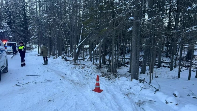 В Горном Алтае автомобилистка врезалась в дерево, сообщили в пресс-службе регионального МВД.  ДТП случилось около 8 утра 26 декабря вблизи села Улаган.  26-летняя местная жительница за рулем Toyota Corolla превысила безопасную скорость, не справилась с управлением и слетела с дороги.  Врезавшись в дерево, девушка получила травмы. Ее госпитализировали.  В момент ДТП она не была пристегнута ремнем безопасности  Фото: МВД Республики Алтай