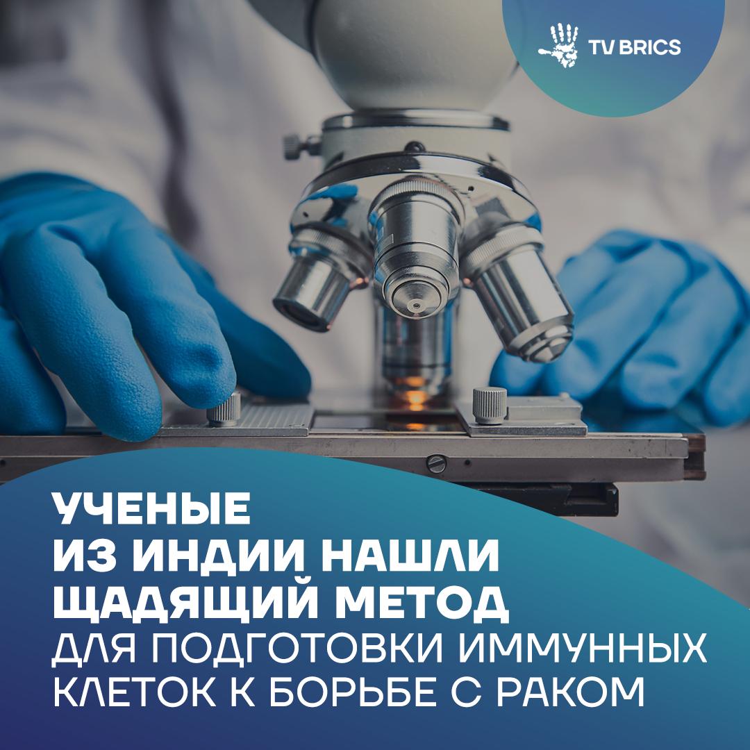 Шанс на более эффективную иммунотерапию в Индии разработали щадящий способ извлечения выращенных в лаборатории T лимфоцитов применяемых при лечении рака Ученые использовали специальный материал для культивирования клеток и заменили стандартный фермент трипсин на более мягкую аккутазу Такой подход позволил значительно снизить повреждение клеток В результате T лимфоциты лучше сохраняют способность делиться и продолжают активно расти что повышает их потенциальную ценность для терапии Аккуратное получение жизнеспособных клеток остается одной из ключевых задач на пути внедрения клеточных технологий в медицину и новый метод помогает приблизиться к ее решению MAX ВК ДЗЕН Поделиться бустом