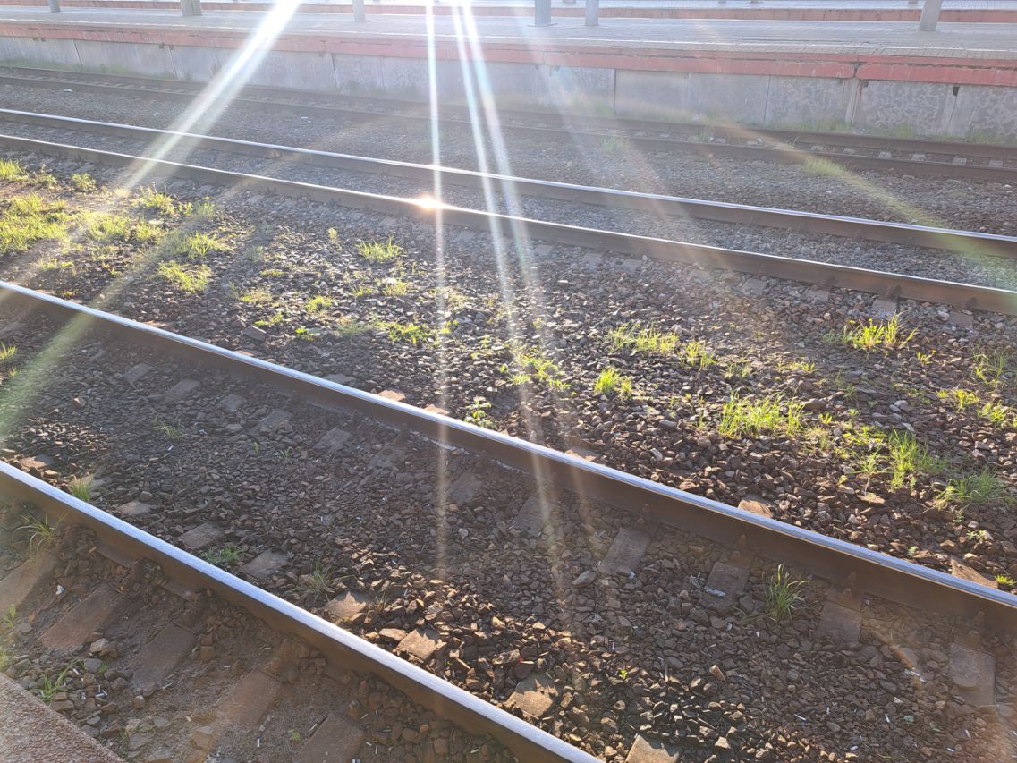 В России срочно построят заводы по производству конструкций для первой ВСМ Москва Санкт Петербург МОСКВА 16 февраля ФедералПресс РЖД и компания Дороги и Мосты планируют построить заводы по производству элементов искусственных сооружений для первой высокоскоростной железнодорожной магистрали ВСМ Москва Санкт Петербург Подробнее