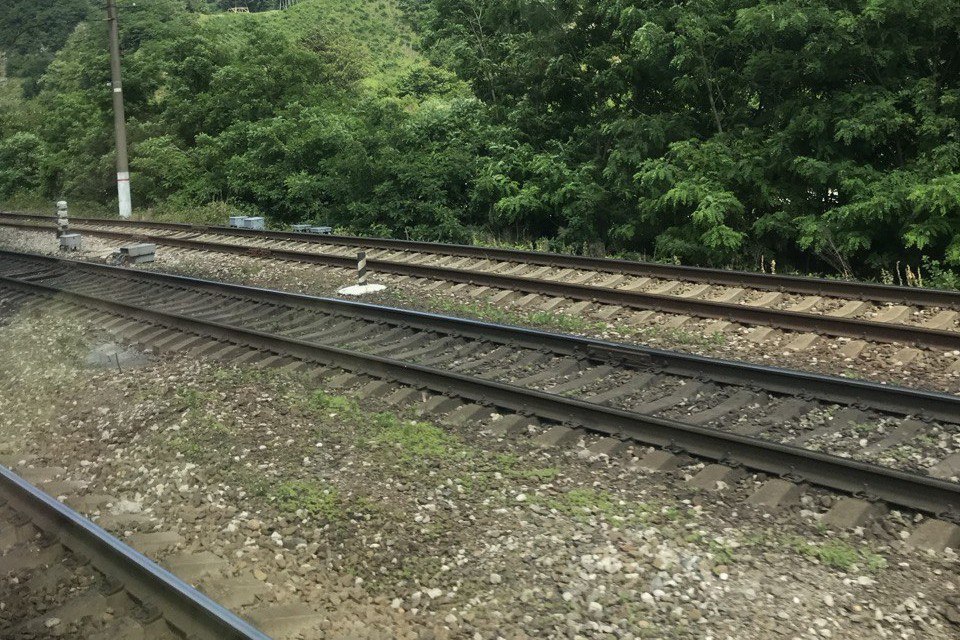 В Динском районе электричка насмерть сбила мужчину Трагедия произошла в 21:45 12 июля вблизи перегона «Титаровка – Мышастовка». Электричка «Краснодар – Тимашевск» сбил мужчину, который находился на железнодорожных путях и не отреагировал на гудок. От полученных травм мужчина скончался на месте. Транспортная полиция выясняет все обстоятельства и устанавливает личность погибшего.