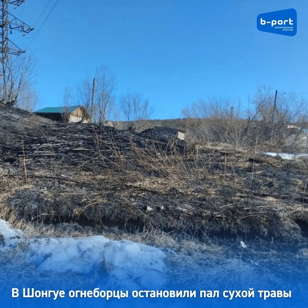В Шонгуе огнеборцы остановили пал сухой травы Днем у дома на улице Набережной 6 в Шонгуе огнеборцы остановили пал прошлогодней травы В экстренные службы сигнал о возгорании поступил в 11 29 во вторник 14 апреля На месте работали четыре огнеборца и с привлечением одной пожарной автоцистерны К 12 05 они закончили свою работу Огонь уничтожил траву на площади 100 квадратных метров Это уже второй случай когда экстренные службы вызывают на тушение прошлогодней травы Как сообщал Би порт в воскресенье огнеборцы выезжали в Зеленоборский Там огонь прошел 25 квадратных метров Фото Управление по ГОЧС и ПБ Мурманской области