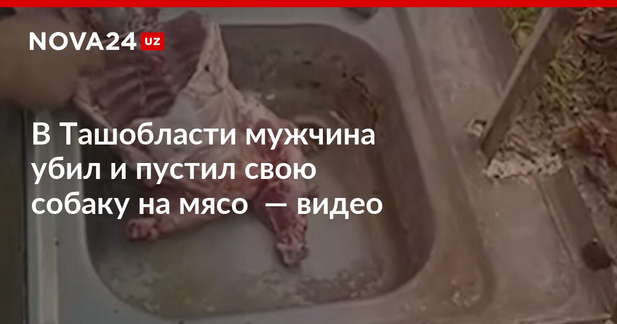 В Ташобласти мужчина убил и пустил свою собаку на мясо видео Живодеру грозит штраф или арест на несколько суток nova24 uz 318210 NOVA24 LIVE