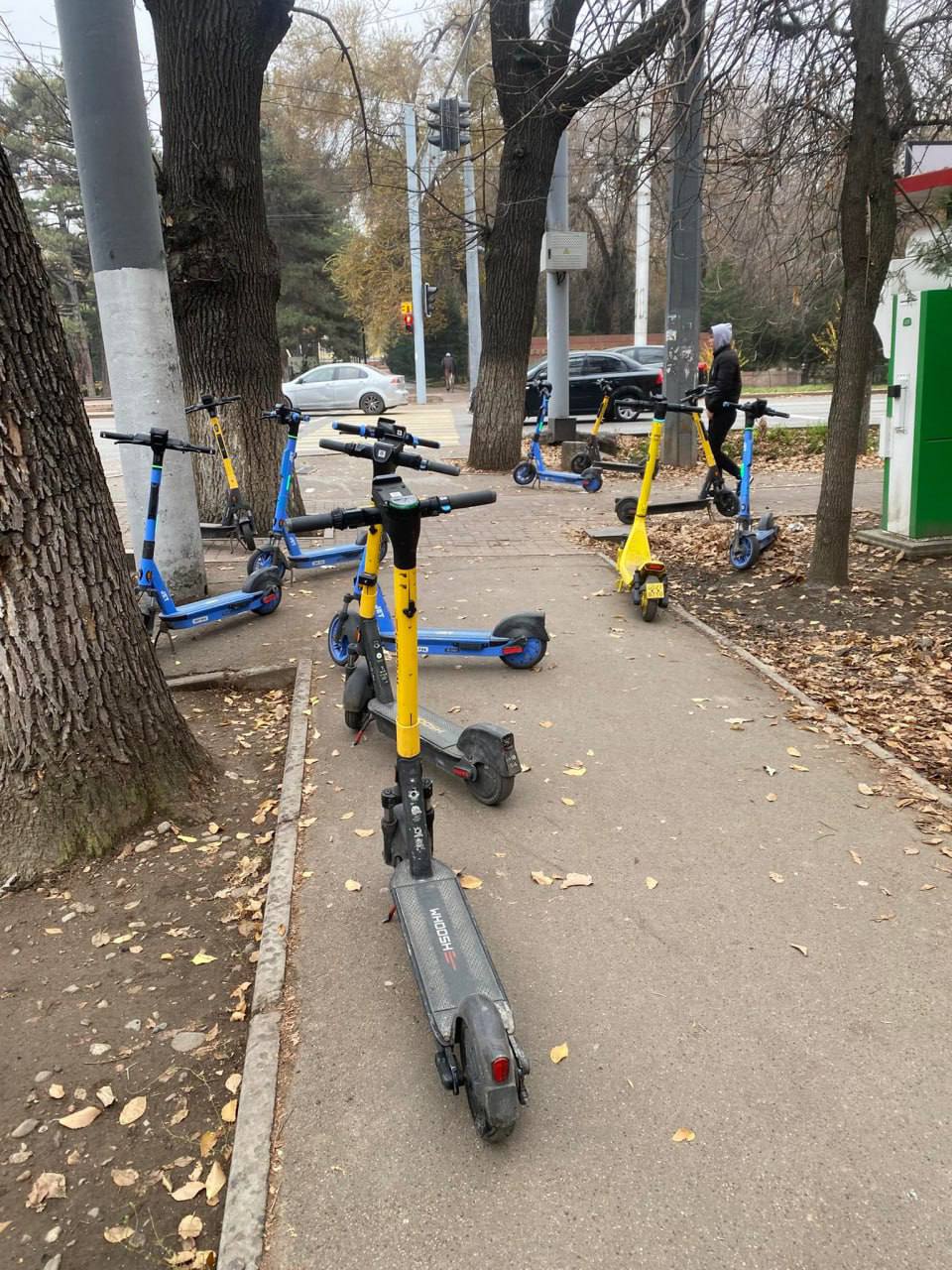 Это уже запредельно невыносимо казахстанский писатель запустил петицию о запрете езды самокатов по тротуарам Вчера на сайте ePetition появилась петиция с требованием запретить движение электросамокатов электробайков велосипедов и других средств индивидуального транспорта в пешеходных зонах Петицию создал известный казахстанский писатель Константин Нагаев На своей странице в фейсбуке он объяснил что у него кончилось терпение Простите но это уже запредельно невыносимо Вы не поверите но меня в очередной раз едва не сбил самокатчик Вчера видел как синий сбил ребенка и унесся в даль Желтый пару дней назад едва не убил старушку спасла лишь пенсовская сумка для покупок на колесах Терпение имеет границы и они вероломно нарушены Отсутствие инфраструктуры для этого вида транспорта не дает им права использовать тротуары а безнаказанность наводит на мысль о крепкой финансовой заинтересованности городских властей Автор петиции заявляет о необходимости принятия немедленных мер со стороны государства по обеспечению безопасности на улицах наших городов Тротуары пешеходные зоны скверы и парки предназначены исключительно для безопасного движения пешеходов но сегодня они искусственно превращены в зоны повышенного риска Хаотичное движение этих средств создаёт условия при которых каждый выход из дома может закончиться серьёзными травмами а их беспорядочная парковка препятствует нормальному передвижению пешеходов Отсутствие соответствующей инфраструктуры в городах не является оправданием для нарушения наших прав Право на безопасное передвижение не привилегия а базовое право человека и его обеспечение прямая обязанность государства Каждая травма является следствием не только безответственности водителей и шеринговых компаний но и результатом бездействия государства Также Константин Нагаев указывает на то что недавно принятые поправки к ПДД это слабые полумеры Тотальный контроль этих видов транспорта со стороны полиции де факто невозможен так как требует привлечения слишком большого количества ресурсов а наказания за нарушения минимальны и не останавливают ни нарушителей ни шеринговые компании В петиции есть отссылка и на международный опыт В Германии и Франции введён полный запрет на движение электросамокатов по тротуарам за нарушение назначаются крупные штрафы В Китае и Великобритании движение таких средств допускается только в специально отведённых зонах Казахстан обязан встать на защиту интересов своих граждан Тротуары должны снова стать безопасными и принадлежать только пешеходам Чтобы петицию рассмотрели она сначала должна набрать 50 голосов на момент написания этого текста подписей было 40 а затем 50 000 Заметим что в последние недели новости о происшествиях с участием самокатчиков появляются нонстоп Так в конце августа двое подростков на одном арендованном самокате сбили коляску с ребенком а на днях парень ехавший на самокате на большой скорости врезался в здание на Абая Ауэзова Вместе с тем как пишет телеграм канал Shishkin Like опубликовавший сегодня подробный обзор того кто зарабатывает на рынке шэринговых услуг в Казахстане судя по динамике налоговых отчислений кикшеринговых компаний бизнес по аренде электросамокатов развивается успешно петиция запрет кикшеринг электросамокаты бизнес Казахстан Подписывайтесь на t me ayel kz