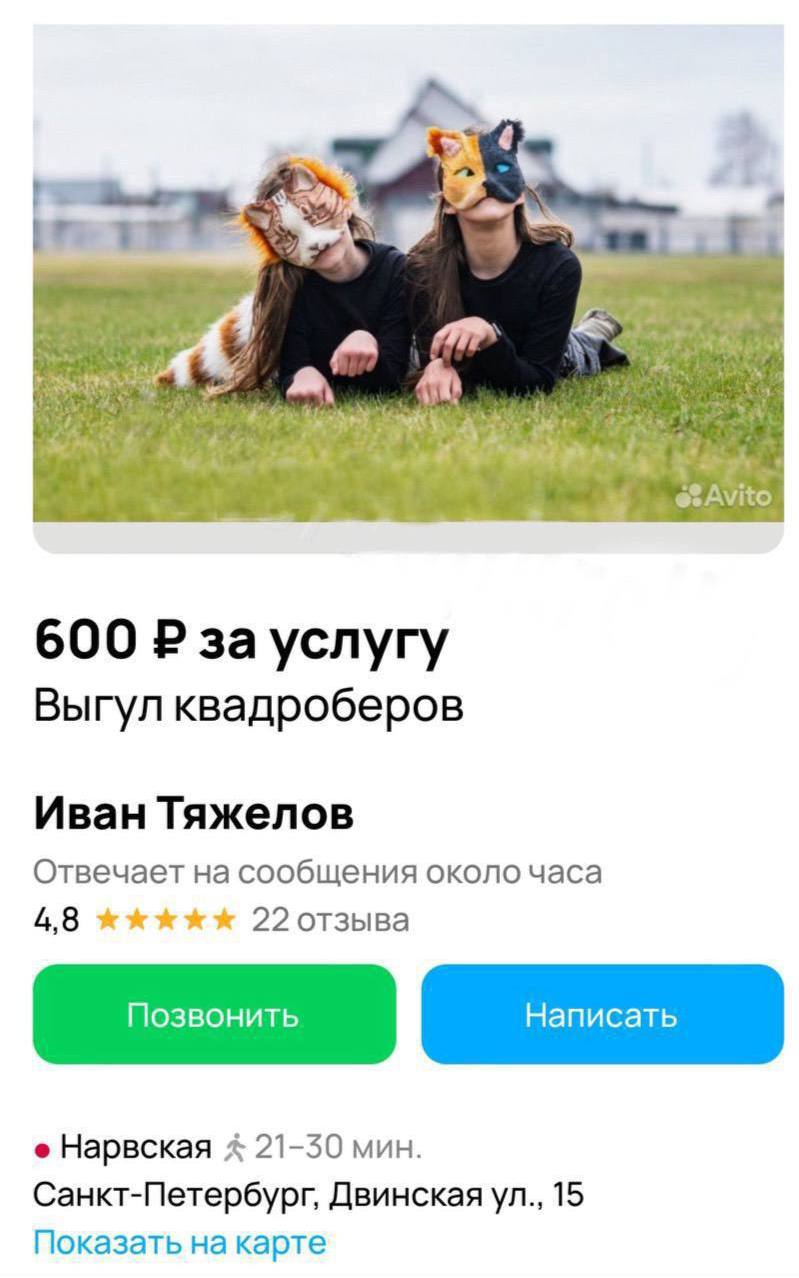 На Авито начали предлагать услугу по выгулу квадроберов за ₽600-1500.  Самые предприимчивые скоро сколотят состояние на квадроберах.  Отдел жалоб