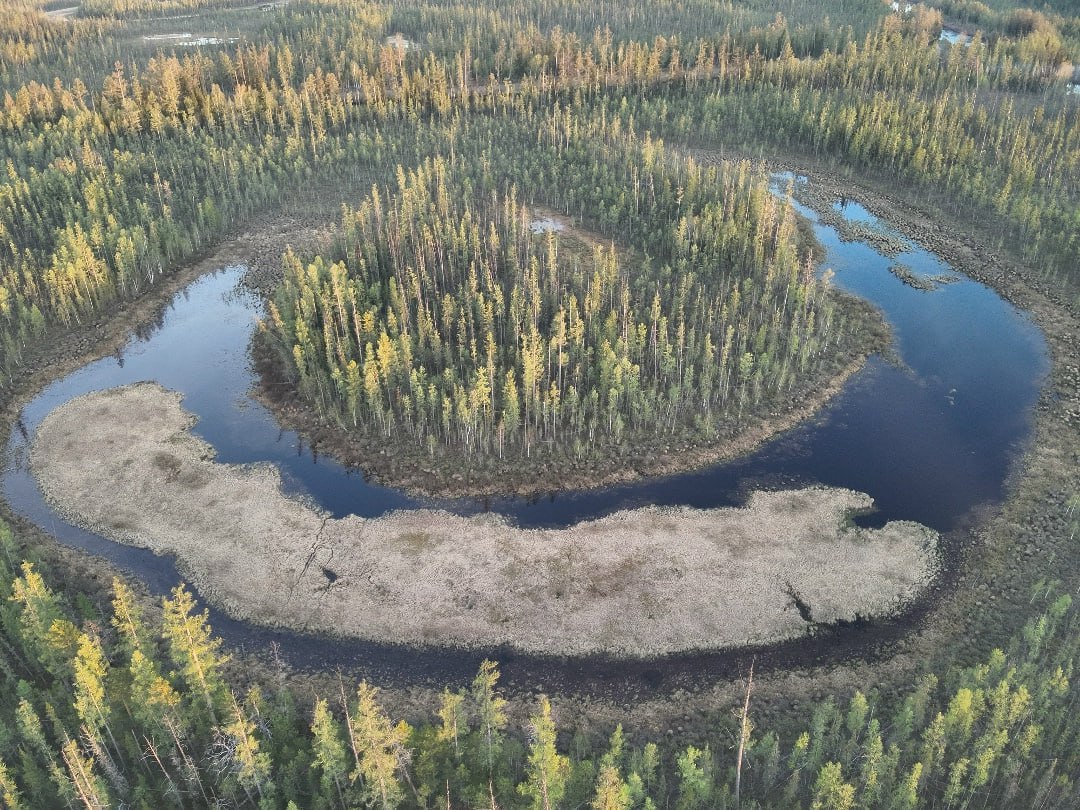 В крае сделают тропу к месту падения Тунгусского метеорита Директор Тунгусского заповедника сообщила ТАСС что экотропу собираются открыть к 2028 году к 120 летию тунгусского феномена По планам к началу тропы туристов будут доставлять по реке На маршруте хотят сделать стоянки и зоны отдыха Назвать тропу планируют в честь ученого минералога Леонида Кулика Он совершил несколько экспедиций к месту падения Тунгусского метеорита prmira news