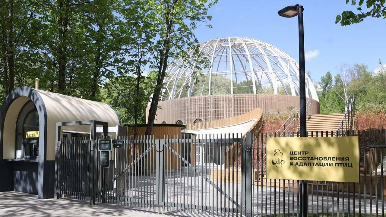 Центр восстановления и адаптации птиц открыли в Сокольниках Это новое подразделение Московского зоопарка. Специалисты будут помогать пострадавшим пернатым, а затем выпускать их на волю или распределять по зоопаркам.