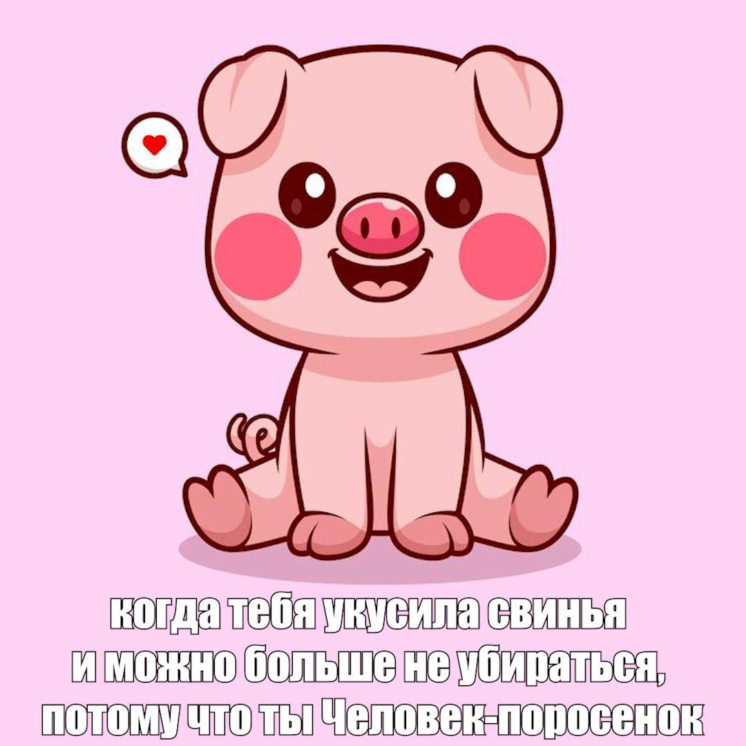 Домашний поросёнок укусил восьмилетнего мальчика в Бийске. Школьник получил рваные раны на ноге и попал в травмпункт больницы №2. Врачи обработали укусы и ввели первую дозу антирабической вакцины от бешенства. Теперь его ждёт целый график уколов — на 3-й, 7-й, 14-й день, а потом ещё через месяц и три.