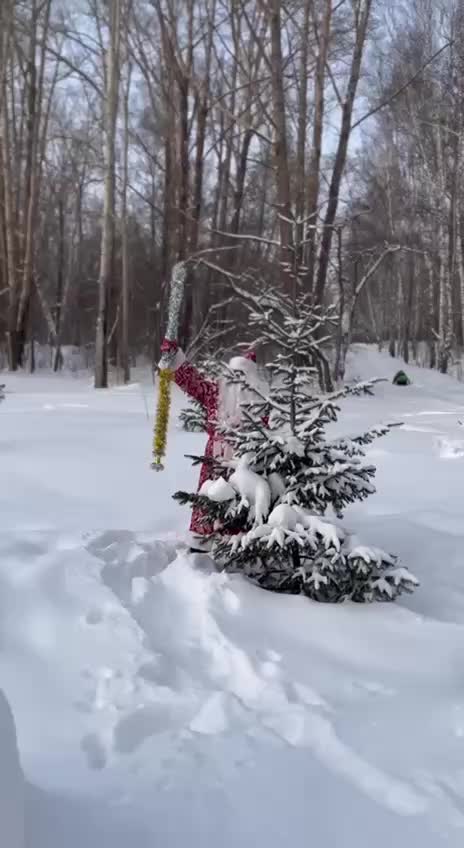 Саша Аношин мечтает о борьбе с Алькарасом и Синнером в новом году