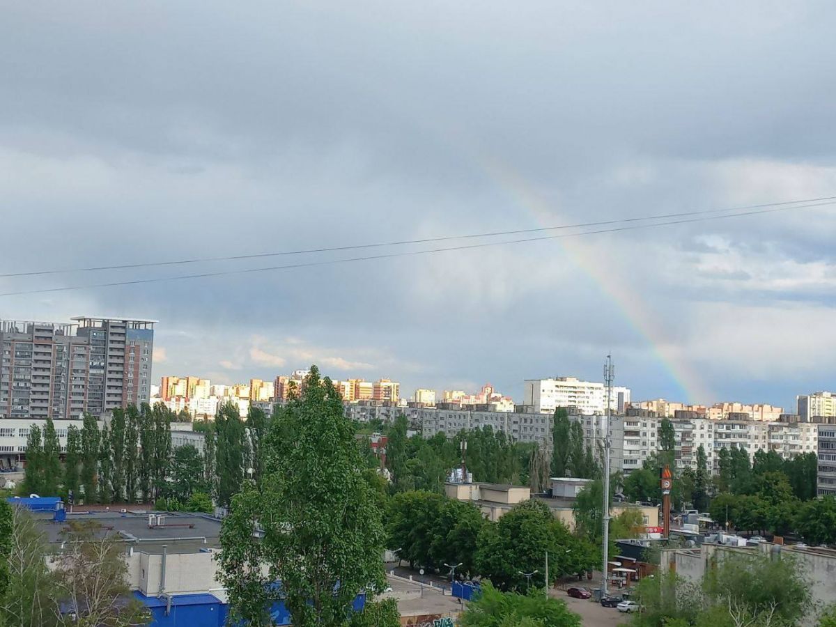 Воронежцы делятся кадрами с радугой после дождя над столицей Черноземья Яркую радугу увидели воронежцы во всех районах города. Более того, в некоторых местах явление оказалось необычным - видели горожане двойную радугу, и даже ту, которая «выпадала» на землю из облаков. ↗ Прислать новость Подписаться