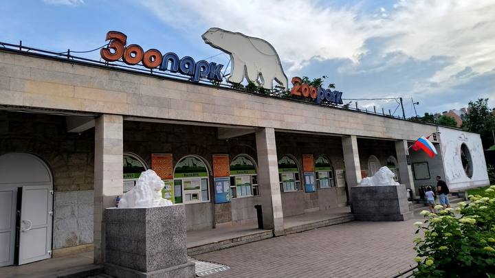 1 сентября школьники смогут бесплатно посетить Ленинградский зоопарк В честь Дня знаний здесь подготовили большую программу гостей ждут интерактивные игры познавательные мастер классы веселые шоу и встречи с обитателями зоопарка Организаторы обещают что праздник станет отличным началом нового учебного года и подарит ребятам массу впечатлений agregiruem