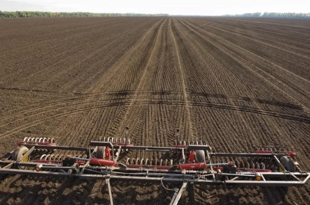 Кубанские аграрии получат компенсации за покупку семян С вопросом по этой теме к губернатору Краснодарского края Вениамину Кондратьеву обратился житель станицы Ленинградской Глава региона поблагодарил всех кто работает на селе за самоотверженный труд Он отметил что фермеры собрали достойный урожай несмотря на засуху Поэтому мы максимально поможем нашим аграриям Необходимо компенсировать им часть понесенных затрат на приобретение семян в текущем году при посеве осенних зерновых культур сказал Кондратьев Вице губернатор Кубани Андрей Коробка уточнил что от засухи пострадало более миллиона гектаров Если будет такая возможность поддержку распространят и на удобрения и на дизельное топливо Мы в Мах АиФ Краснодарский край в ТГ