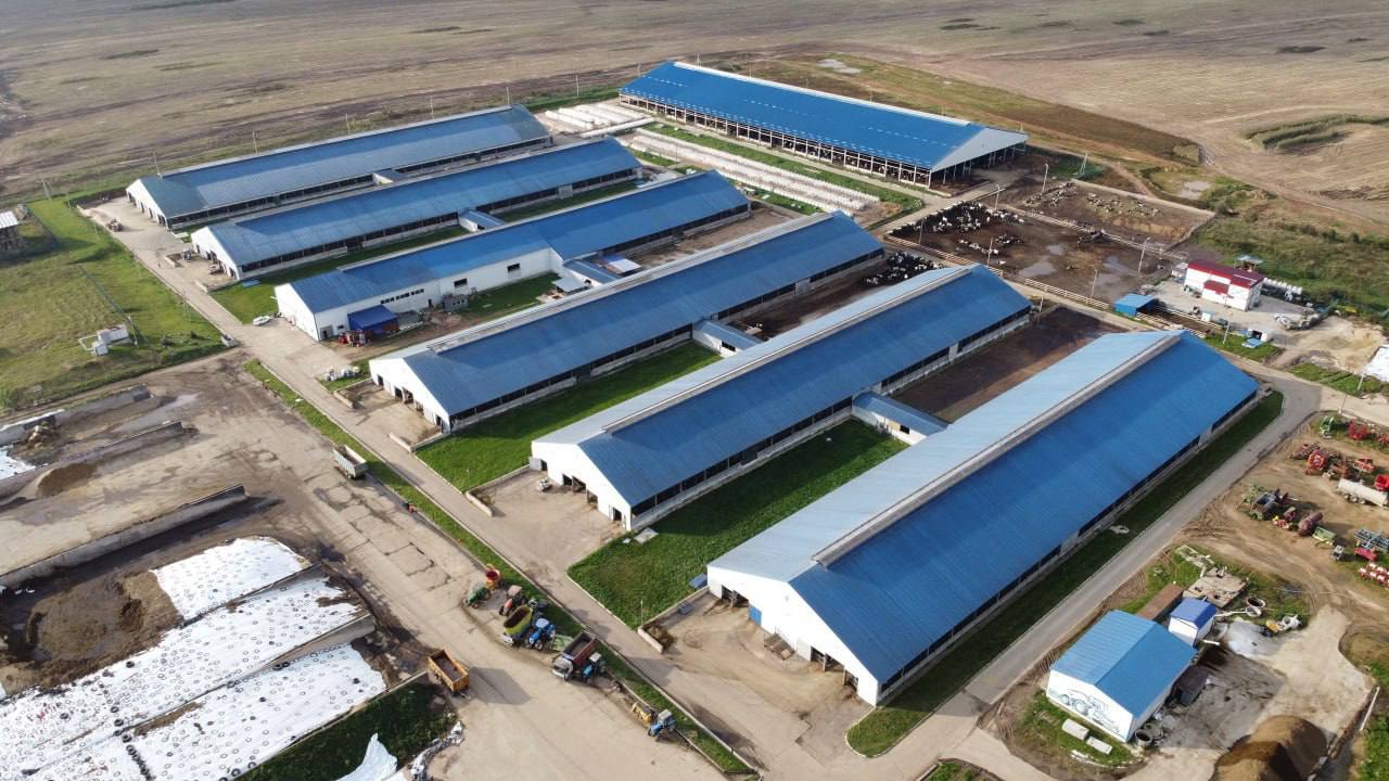 Продолжается масштабное расширение молочного комплекса "Золотая Нива" в Дорогобужском и Сафоновском округах. На предприятии будут построены коровники, дворы для выращивания молодняка и нетелей, доильный блок и другие объекты. Этот инвестиционный проект – один из крупнейших в регионе.    Завершение работ запланировано на следующий год. Это позволит увеличить фуражное стадо крупного рогатого скота, расширить посевные площади в два с половиной раза – с 4 тысяч до 10,5 тысяч га и повысить надои с 26 тысяч до 68 тысяч тонн в год.  В развитие компания планирует вложить порядка 5,4 млрд рублей. В настоящее время выполнен основной объем строительных работ на объектах, ведётся их присоединение к инженерным сетям и подготовка к установке производственного оборудования. Благодаря расширению фермерского комплекса будет создано 145 новых рабочих мест.   Реализация проекта станет мощным стимулом для развития агропромышленного комплекса и роста экономики всего региона, а значит, и повышения благополучия смолян. Правительство области продолжит оказывать содействие компании для успешного завершения работ.