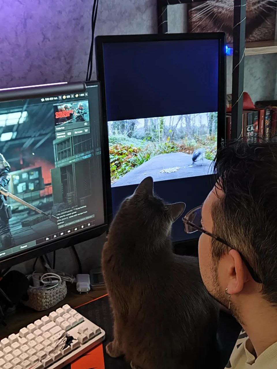 Ноль осуждения парень предупредил жену что им жизненно необходим второй монитор для работы На следующий день жизненная необходимость оценила обновку exploitex