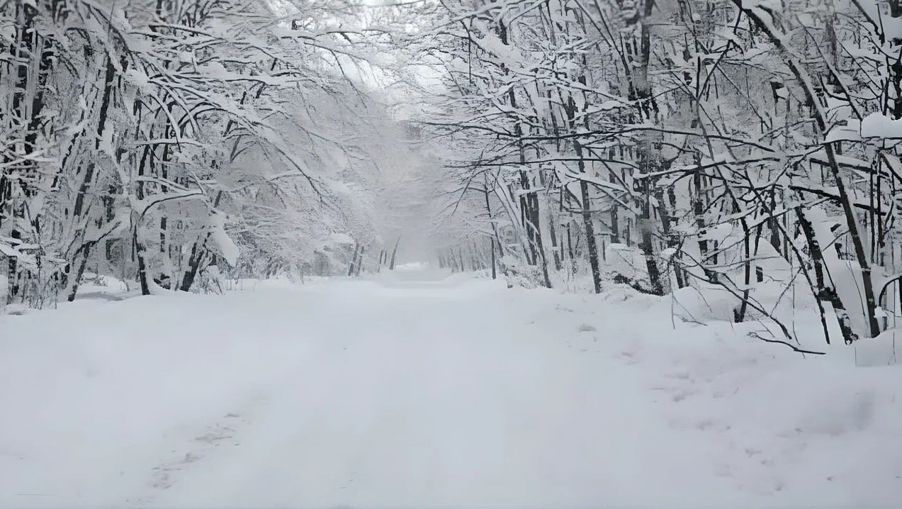 С 7 января для автомобилистов будет доступна временная зимняя дорога Шелехметь Белые домики Маршрут протяженностью 27 км проходит по разнообразному рельефу 3 км по полю 2 км через Львову гору а далее по лесному массиву на территории нацпарка Самарская Лука Ранее врио министра транспорта и автомобильных дорог Самарской области Артур Абдрашитов лично выезжал на место для проверки готовности трассы Дорожные службы выполнили полный комплекс подготовительных работ включая планировку полотна и расчистку проезжей части Данная трасса является временной дорогой естественного промерзания Для обеспечения безопасности проезд рекомендуется только для транспортных средств подготовленных к зимним условиям оптимальным является использование автомобилей с полным приводом и зимней резиной Пожалуйста соблюдайте скоростной режим учитывая особенности грунтового покрытия и проявляйте повышенную осторожность сообщили в региональном министерстве транспорта и автомобильных дорог Mintrans63 Еще больше новостей на сайте 450media ru