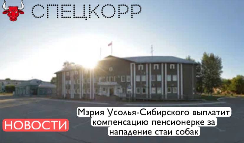 Администрация города Усолье-Сибирское выплатит компенсацию морального ущерба местной жительнице, пострадавшей от нападения бродячих собак в феврале 2025 года. Женщина является инвалидом и получает пенсию. В результате нападения она получила травмы. Чтобы защитить права пострадавшей, представители Байкальской межрегиональной природоохранной прокуратуры обратились в суд с требованием взыскать с мэрии Усолье-Сибирского компенсацию морального ущерба. Суд удовлетворил требования и присудил местной жительнице компенсацию в размере 30 тысяч рублей. Также администрация города отловила бродячих животных. Подпишись