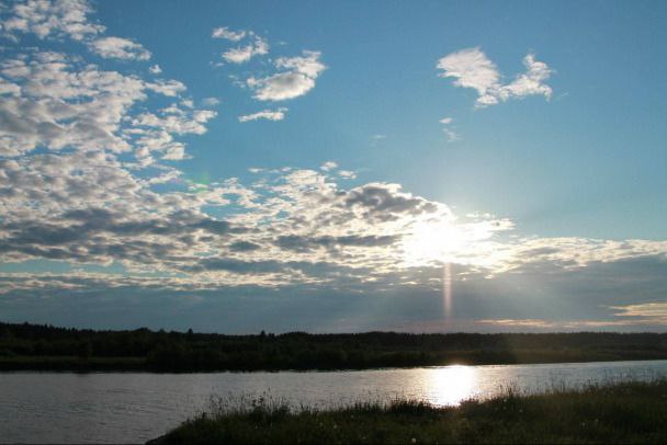 В Ленобласти появится новый природный заказник  В Ленобласти создадут новый природный заказник "Поддубно-Кусегский", соответствующее постановление подписал губернатор Александр Дрозденко, об этом глава региона сообщил в своем Telegram-канале.   Увеличивать число особо охраняемых природных территорий  ООПТ  – уже стало предновогодней традицией. Новая станет 51-й по счету.   "Поддубно-Кусегский" заказник, который также называют "Соколий мох", занимает около 110 га на территории Волховского и Тихвинского районов. Территория объединяет гидрологическую систему озер и рек эталонного для центральной части Ленинградской области болотного массива с большими запасами пресной воды, а также богатой флорой и фауной. Кроме того, здесь под охраной места нереста лосося, гнездования черного аиста и других птиц из Красной книги.   телеграм-канал губернатора Ленобласти