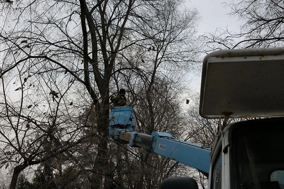 Кто празднику рад, тот…        В Первомайском сквере Новосибирска уже начали подготовку к празднованию Нового года. Рабочие монтируют гирлянды на деревья. Украшения будут теми же самыми, что и в прошлом году.  Ранее в мэрии Новосибирска заявили:  «Средства на приобретение новых праздничных украшений бюджетом города не предусмотрены, поэтому для декорирования главной городской ёлки и новогодних пространств будет использоваться уже имеющееся оборудование».  Вести Новосибирск