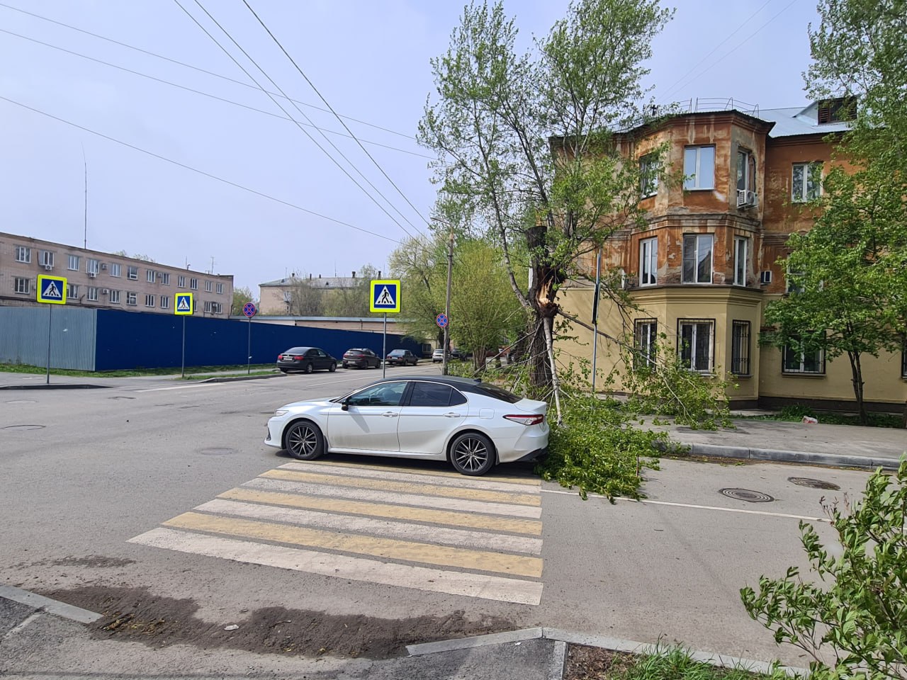 В Челябинске из-за ураганного ветра дерево упало на автомобиль Крупная ветка дерева, сломавшаяся от сильного ветра, упала на багажник легковушки Тойота Камри. Произошло это только что на улице Яблочкина. Водитель проезжал через пешеходный переход, когда порыв обломил ветвь. Если бы по дороге шли пешеходы, все могло бы закончиться серьезными травмами людей. Пострадавший автомобиль получил механические повреждения, водитель вызвал ГАИ для фиксации ущерба. Сегодня в Челябинске порывы ветра достигают 19 метров в секунду, местами идет снег. Учитывая непогоду будьте осторожнее. Фото редакции.