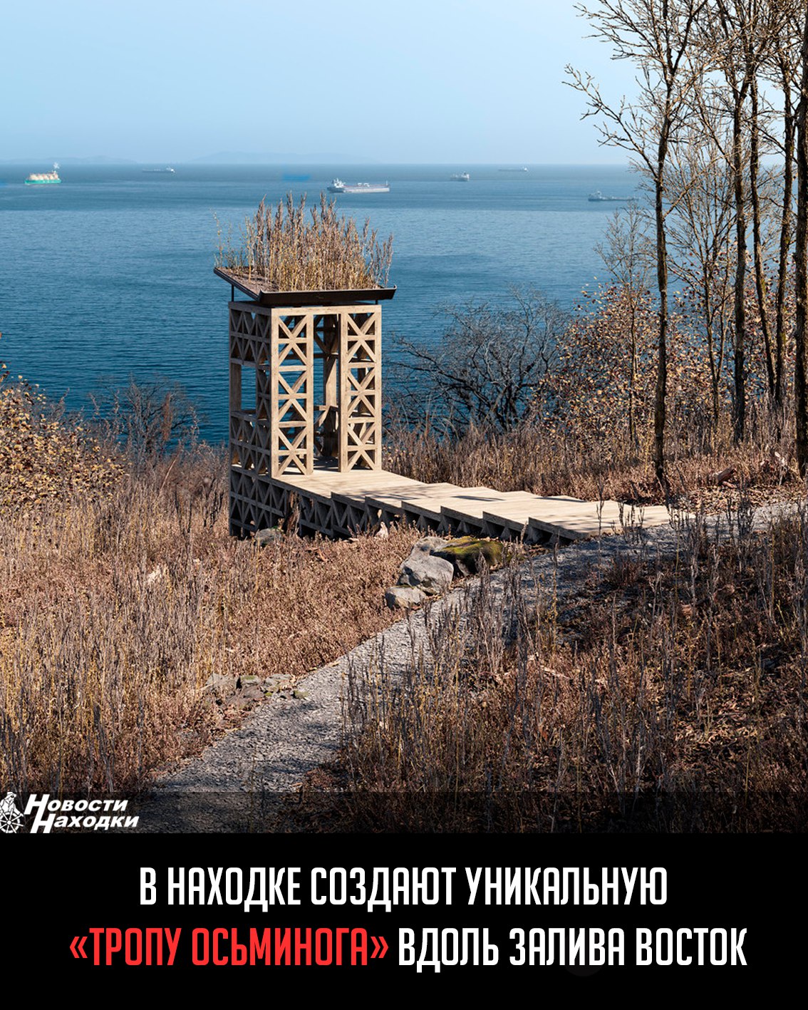 Строительство пешеходного маршрута протяжённостью 6,2 км между бухтой Прозрачной и пляжами Отрада-Золотари началось осенью 2024 года. Архитектурная студия BRICKS, известная по проектам на сопке Бурачка во Владивостоке и озере Сафонова, разработала концепцию с уникальными объектами: «Чайной хижиной», «Языком дракона» над обрывом, видовыми площадками и хрустальной лестницей к водопаду, сообщает издание vl.ru. Работы осложняются сложным рельефом — строители вручную переносят бетон на квадроциклах, копают лопатами и забивают сваи копром. Из-за обрывов и деревьев которые решено не вырубать приходится корректировать маршрут прямо в процессе. Проект планируют завершить к концу 2025 года — раньше намеченного срока. Ожидается, что тропа будет принимать до 70 тыс. туристов ежегодно. Сейчас администрация ищет инвестора для строительства входного павильона на Рице с инфраструктурой.