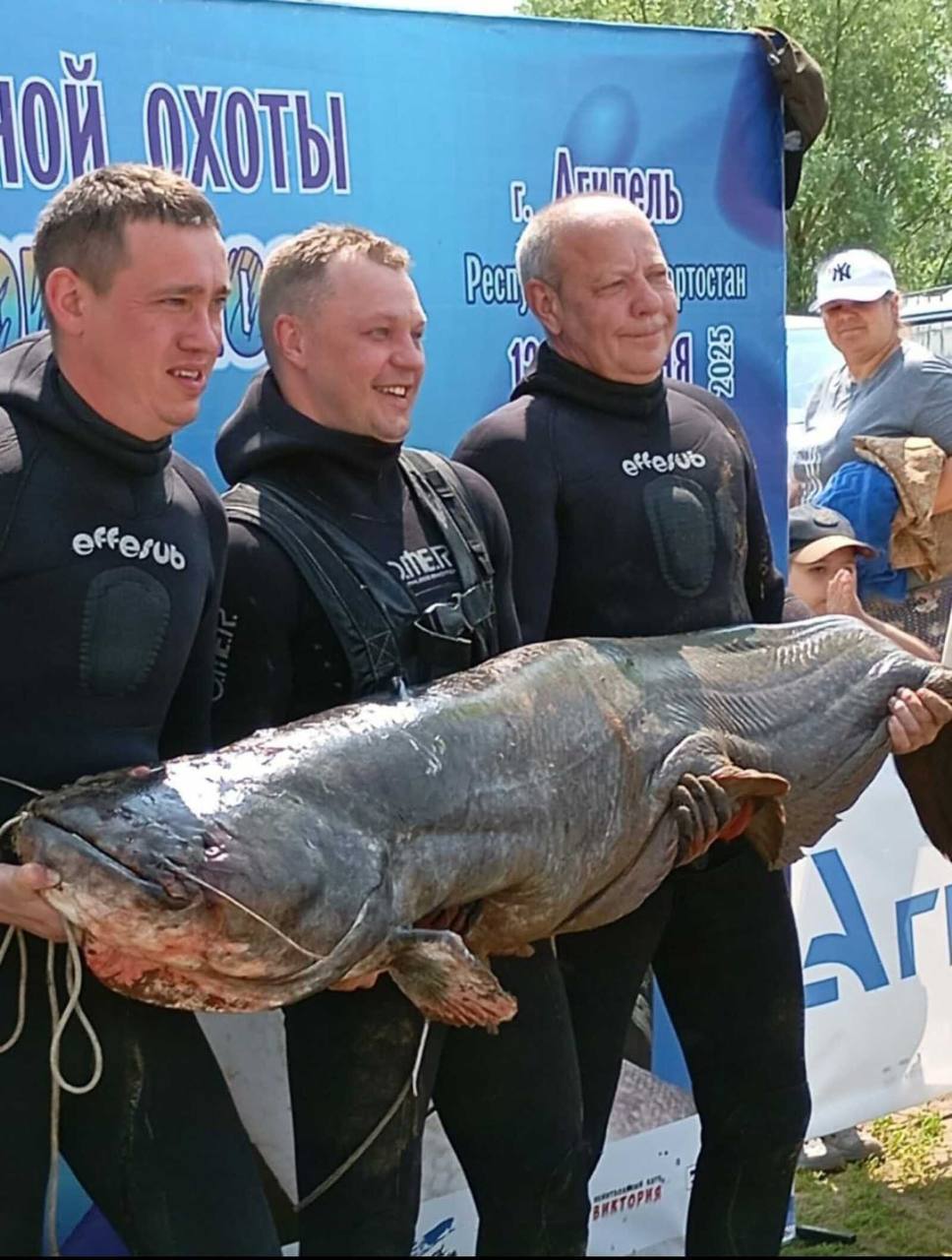 В Башкортостане из реки Белой вытащили сома весом 50 килограммов. Это произошло во время фестиваля по подводной охоте. Подписаться Прислать новость