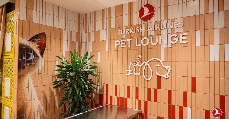 Turkish Airlines открыли Pet Lounge зал для домашних животных в аэропорту Стамбула   Авиакомпания Turkish Airlines открыла специальный зал площадью 250 кв.м.  с открытой террасой  для питомцев, которые не могут путешествовать в салоне из-за превышения допустимых веса или габаритов.   Pet Lounge одновременно вмещает до 78 животных  32 собаки, 36 кошек и 10 птиц  и работает под круглосуточным ветеринарным контролем.