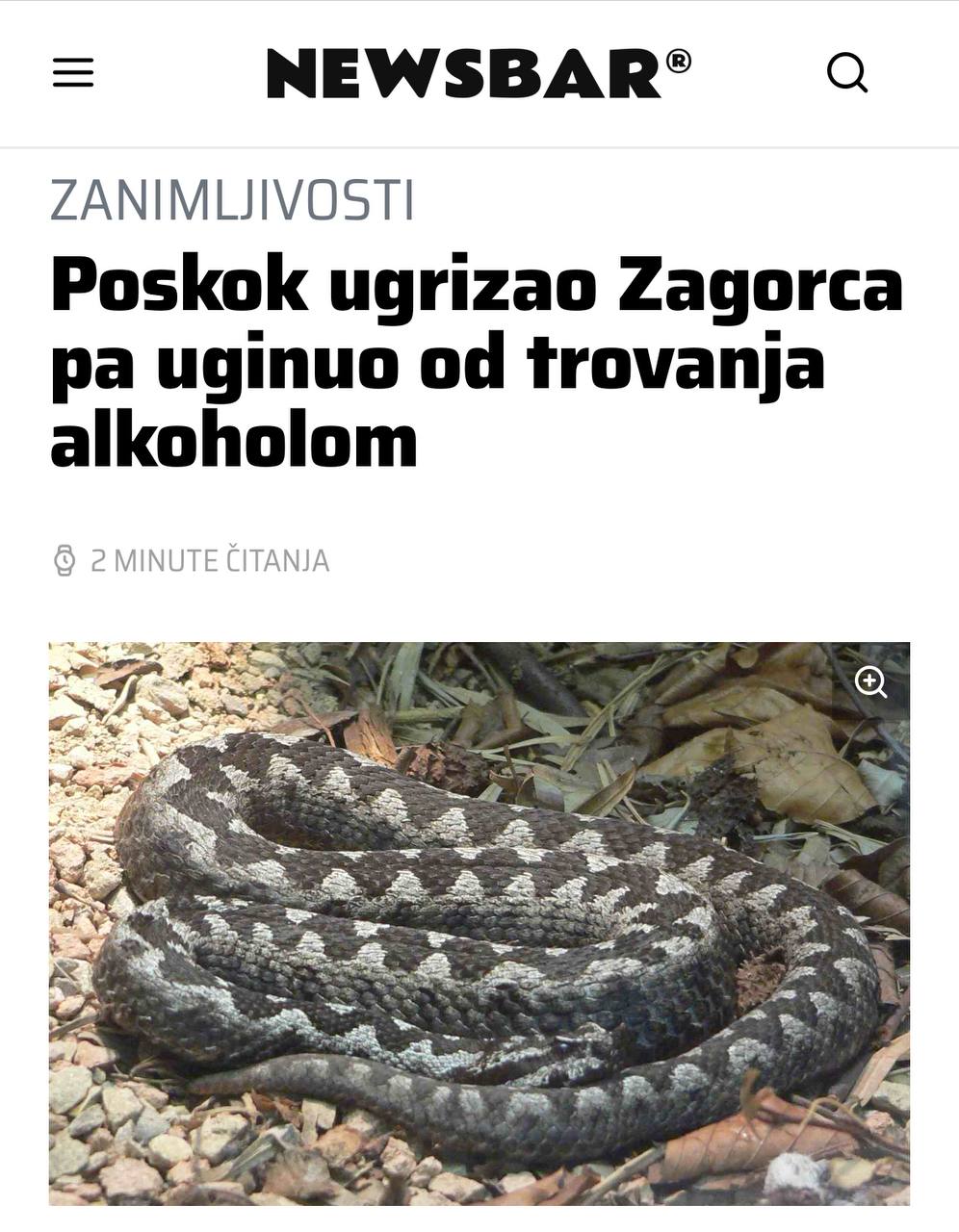 Мем в Хорватии ядовитая гадюка укусила туриста и умерла от чрезмерного содержания алкоголя в крови укушенного Местные змеи не привыкли к такой концентрации спирта в крови И уж тем более в 14 00 После смерти змейки в ней замерили спиртное его оказалось целых 5 1г кг Это слишком много для любого существа даже для человека Смешно что яд змеи на пивопита не подействовал Он так проспиртовал себя что алкоголь нейтрализовал смертельное вещество В пятницу мы бессмертны официально