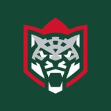 Аватар Телеграм канала: ХК «Ак Барс»