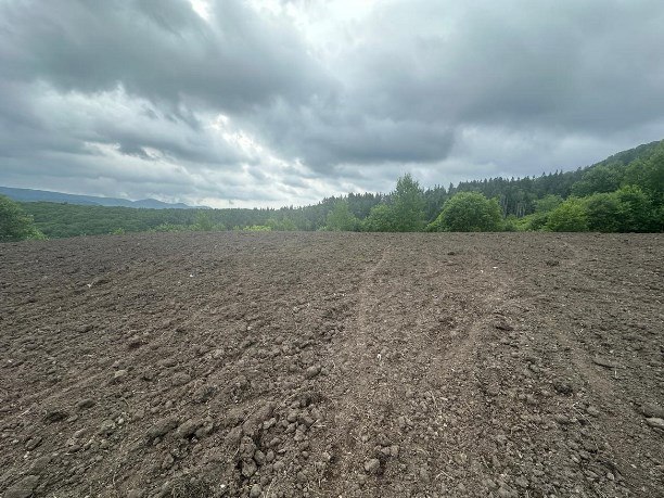 В Синегорске завершили рекультивацию местной свалки Бывшую синегорскую свалку площадью 3 7 гектара стала первым рекультивированным объектом в Сахалинской области Подробнее о процессе рассказали в АО Управление по обращению с отходами Сначала отсюда вывезли все накопленные отходы и сформировали рельеф Затем провели комплекс мероприятий по агротехнике и фитомелиорации чтобы восстановить повреждённые земли Кроме того почву удобрили добавив минеральные удобрения и засеяли многолетними луговыми травами В результате все четыре гектара земли восстановлены   Прислать новости Подписывайся на АСТВ ру