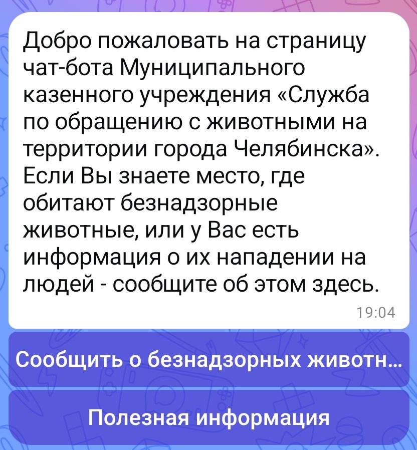 Чат бот отлова безнадзорных животных появился в Челябинске Туда можно сообщить о бездомном животном это поможет оперативно реагировать и обеспечивать безопасность как людей так и самих четвероногих Сам бот здесь max ru myotlov chelbot   Новости Челябинска в МАХ