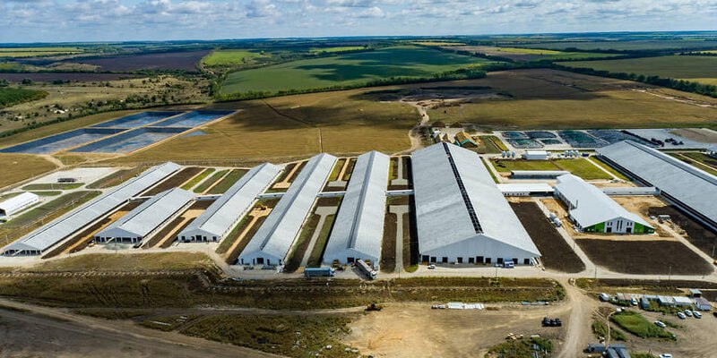 Группа компаний Агроэко специализирующаяся на свиноводстве запустит до конца 2025 г молочный комплекс в Верхнемамонском районе Воронежской области Объем инвестиций в проект оценивается в 6 млрд руб сообщили Ведомостям в пресс службе холдинга Земельный банк группы превышает 124 500 га С 2011 по 2024 гг совокупный объем инвестиций в развитие холдинга составил 81 7 млрд руб Известно что 77 ООО ГК Агроэко принадлежит Владимиру Маслову Проект реализуется в рамках первого в регионе соглашения о защите и поощрении капиталовложений СЗПК Мощность нового комплекса составит 40 000 т молока в год Планируемый суточный объем производства 110 т молока По данным компании строительство завершено на 90