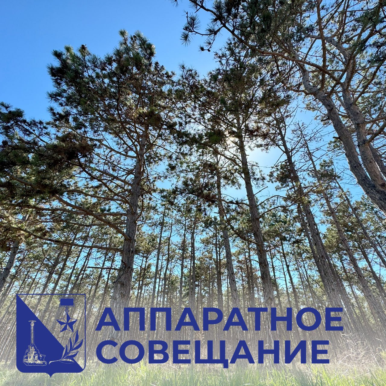 Леса в Севастополе остаются закрытыми минимум до 20 августа из-за пожарной опасности. Этот вопрос тоже обсудили сегодня на аппаратном совещании городского правительства.   Решение о запрете посещения лесов показало себя как действенная мера — не только для сохранения природы, но и для безопасности людей, которые могут находиться на территории лесничества в момент возникновения лесного пожара. Севприроднадзор каждый день мониторит погодные условия. Ближе к 20 числу примем решение о дальнейших мерах.   В режиме боевой готовности для тушения пожаров находятся 40 работников лесопожарной службы, 8 руководителей тушения, 22 единицы техники и более 300 единиц оборудования.   Также Севприроднадзор уделяет особое внимание профилактике пожаров: реконструировали 25 километров лесных дорог, проложили 59 километров минерализованных полос и 17 километров противопожарных разрывов, обновили 1376 км ранее созданных минерализованных полос, очистили от сухой растительности 127 гектаров прилегающих территорий, установили и обновили 90 информационных стендов и знаков о пожарной безопасности. Продолжается патрулирование лесов.   Сейчас в лесах запрещено разведение костров, использование мангалов и пиротехники, въезд личного транспорта и сельхозпалы. Исключения сделаны только для разрешённых мест отдыха, где организованы безопасные зоны.  Отдых разрешён только в специальных оборудованных местах: это «Торопова Дача», урочище «Аязьма» и «Турецкая поляна», пляжные зоны «Золотой пляж», «Ближний пляж» и пляж «Дельфин», места отдыха «Алсу», «Парк 35-летия Победы», «III Кордон». Также остаётся доступным участок Большой севастопольской тропы от Балаклавы до урочища «Аязьма».