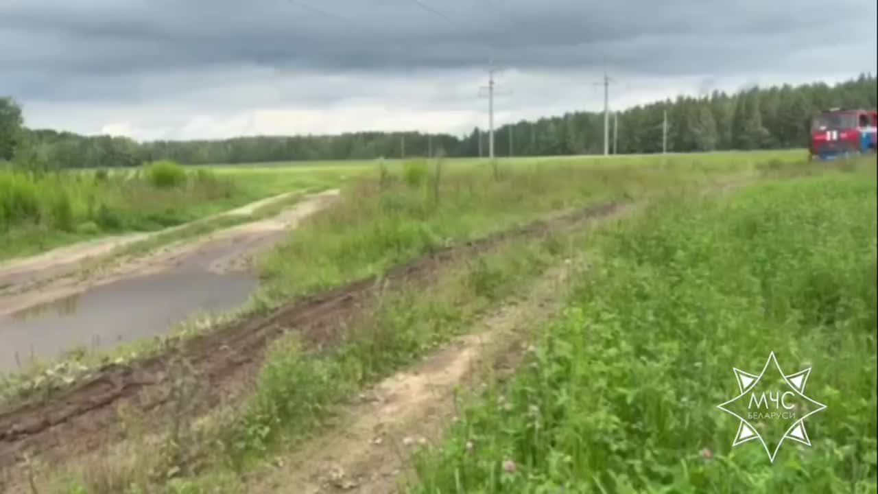 Спасение заблудившихся грибников в Ленобласти и на Витебщине