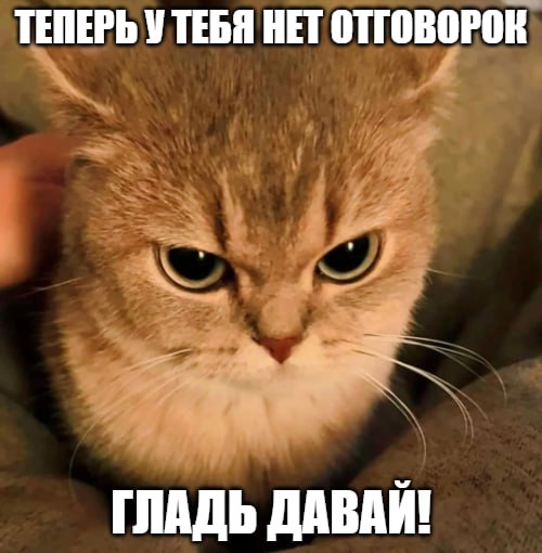 Никакой больше аллергии на кошек? Наши ученые из Сеченовского университета совместно с коллегами из Венского медуниверситета разработали новую вакцину, которая позволит аллергикам больше не страдать при общении с мохнатыми. Сейчас препарат готовят к клиническим испытаниям на людях. При этом антитела к новой вакцине также могут частично подавлять реакцию на основной аллерген собак и лошадей, из-за чего сфера применения препарата может быть расширена. Подпишитесь на «Абзац» Добавьте «Абзац» в ленту «Дзена»